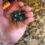 Small image 2