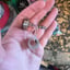 Small image 6
