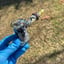 Small image 4