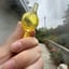 Small image 3
