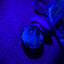 Small image 6