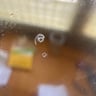 Small image 5