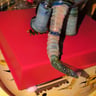 Small image 3