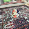 Small image 3