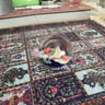 Small image 5