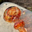 Small image 7