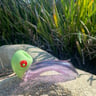 Small image 1