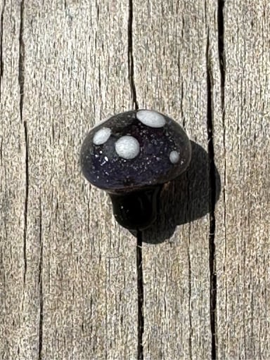 Preview pic of Space Mushroom