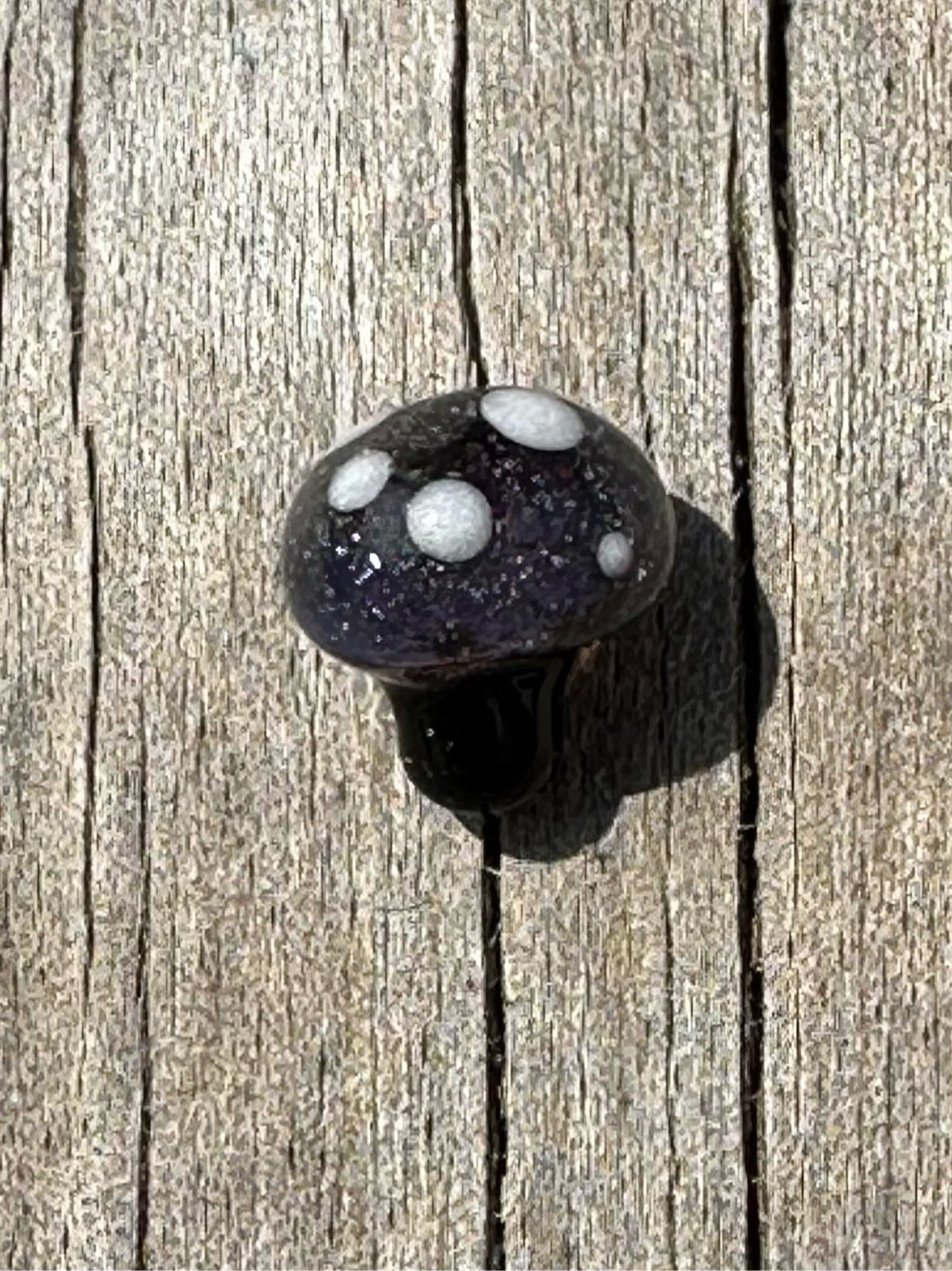 Preview pic of Space Mushroom