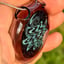 Small image 4