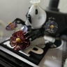 Small image 4