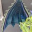 Small image 5