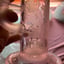 Small image 8