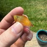 Small image 2