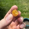 Small image 3