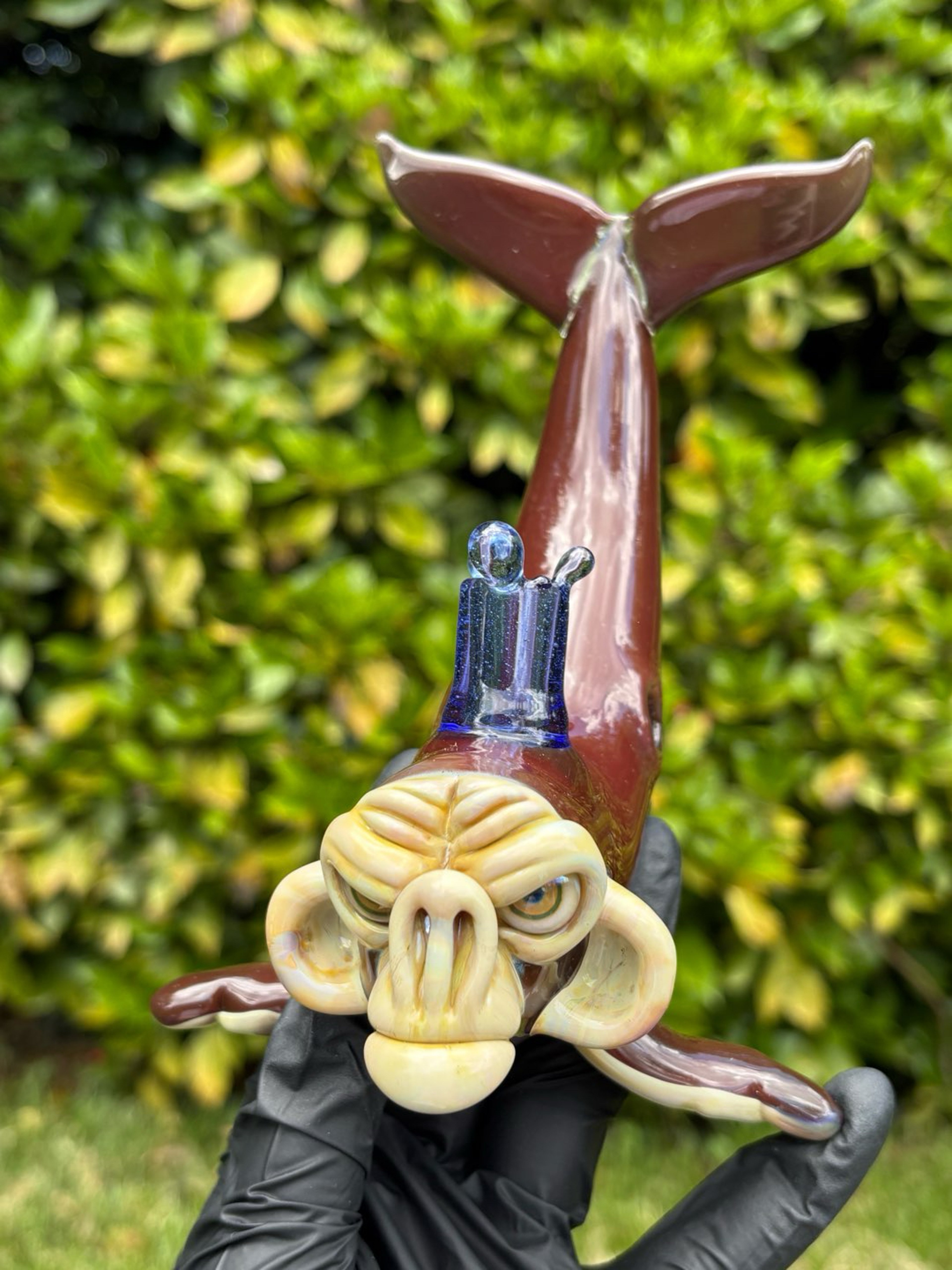 Preview pic of The sea monkey