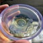 Small image 6