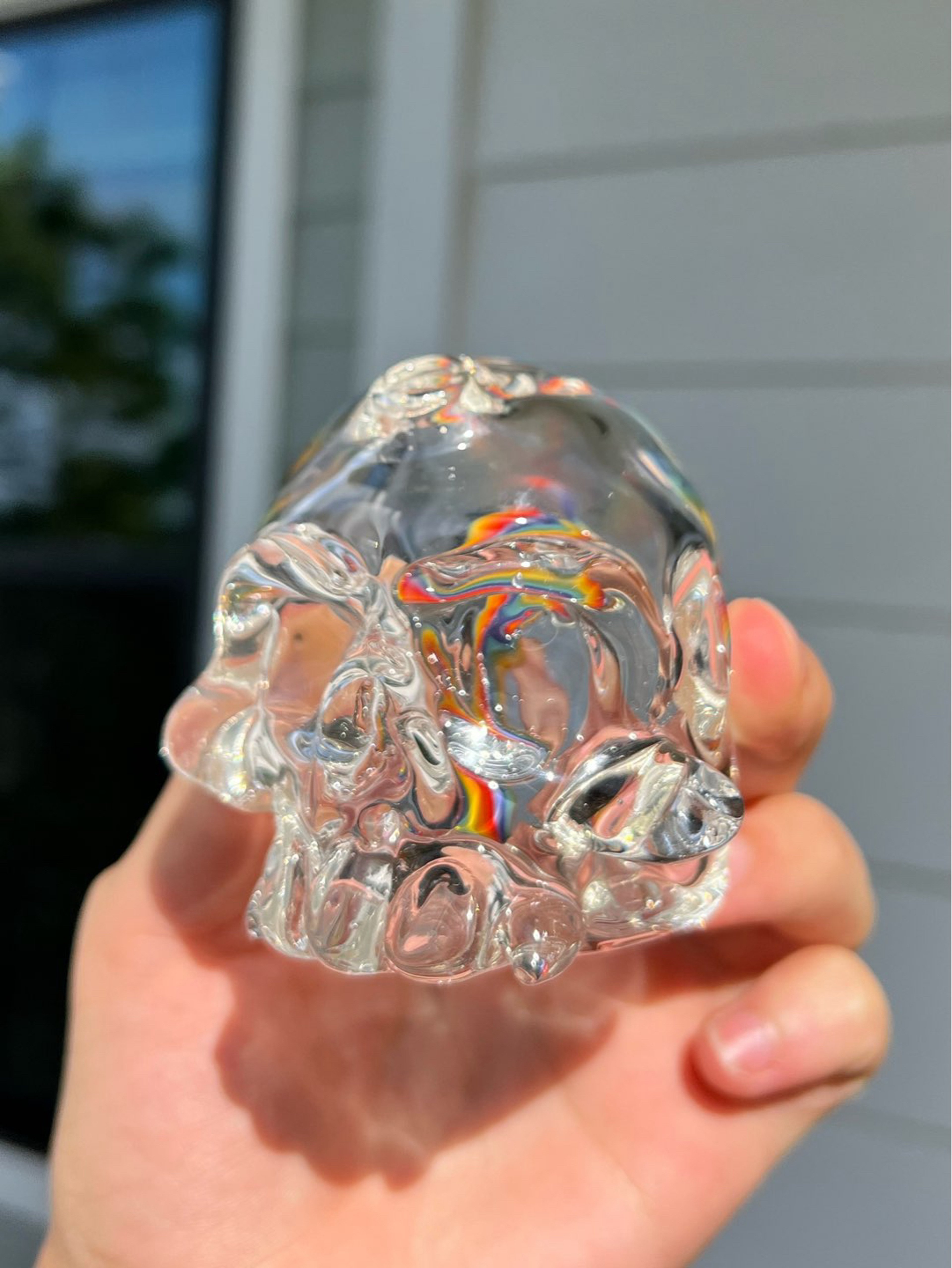Mangoglass710 Skull image 0