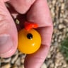 Small image 2