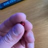Small image 1