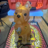 Small image 0