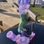 Small image 4