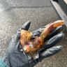 Small image 0