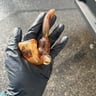 Small image 4