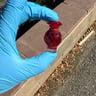 Small image 6