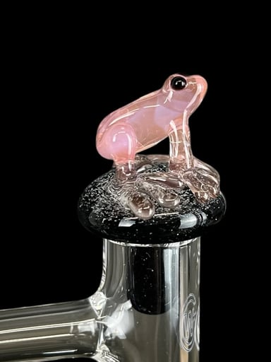 Preview pic of Frog Mushroom Plug Cap – Sculpted Topper for Control Tower