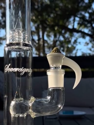Preview pic of White FA Slide