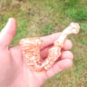 Small image 1