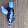 Small image 4