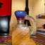 Small image 6