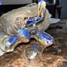 Small image 2