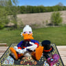 Small image 2