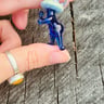 Small image 1