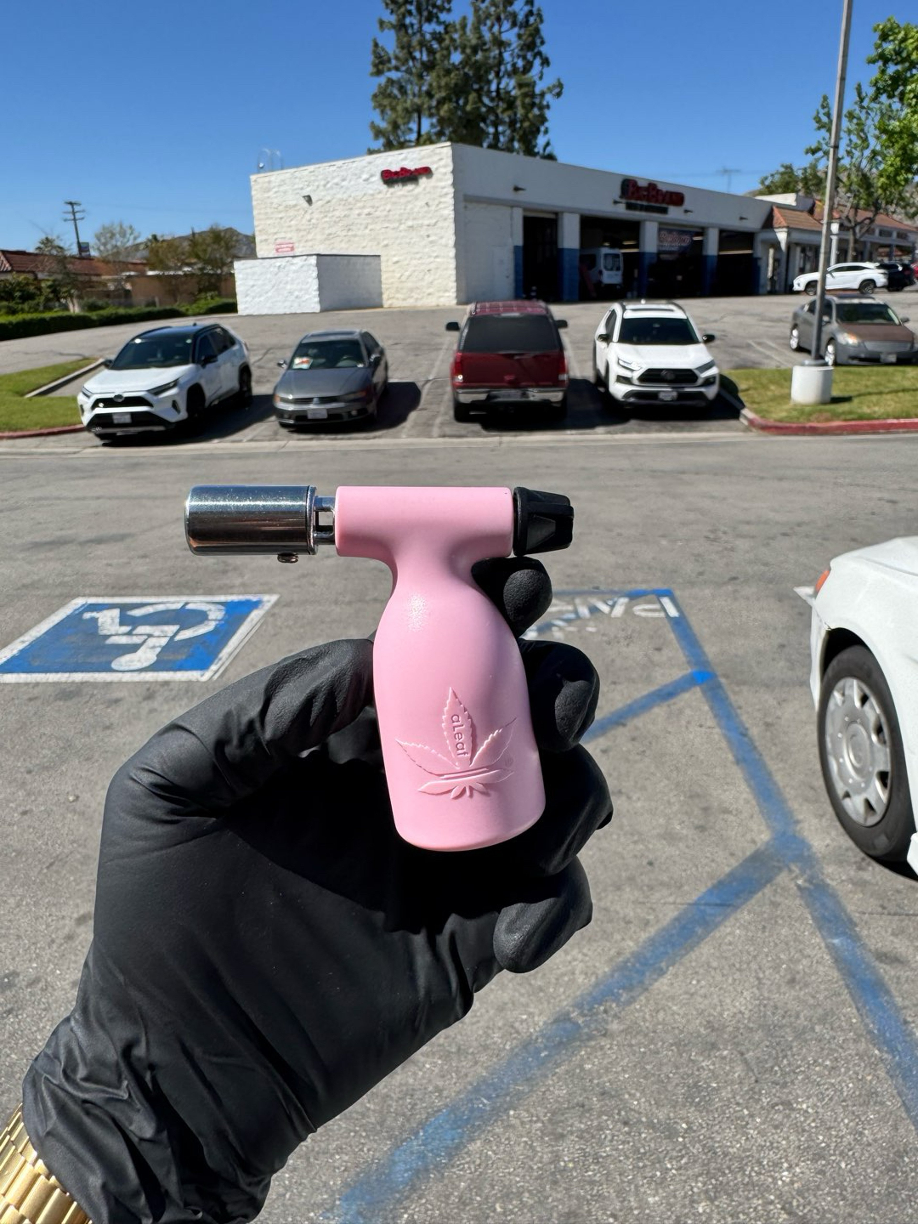 Preview pic of Aleaf Pink Torch