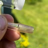 Small image 3