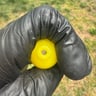 Small image 2