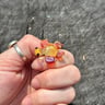 Small image 0