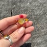 Small image 1