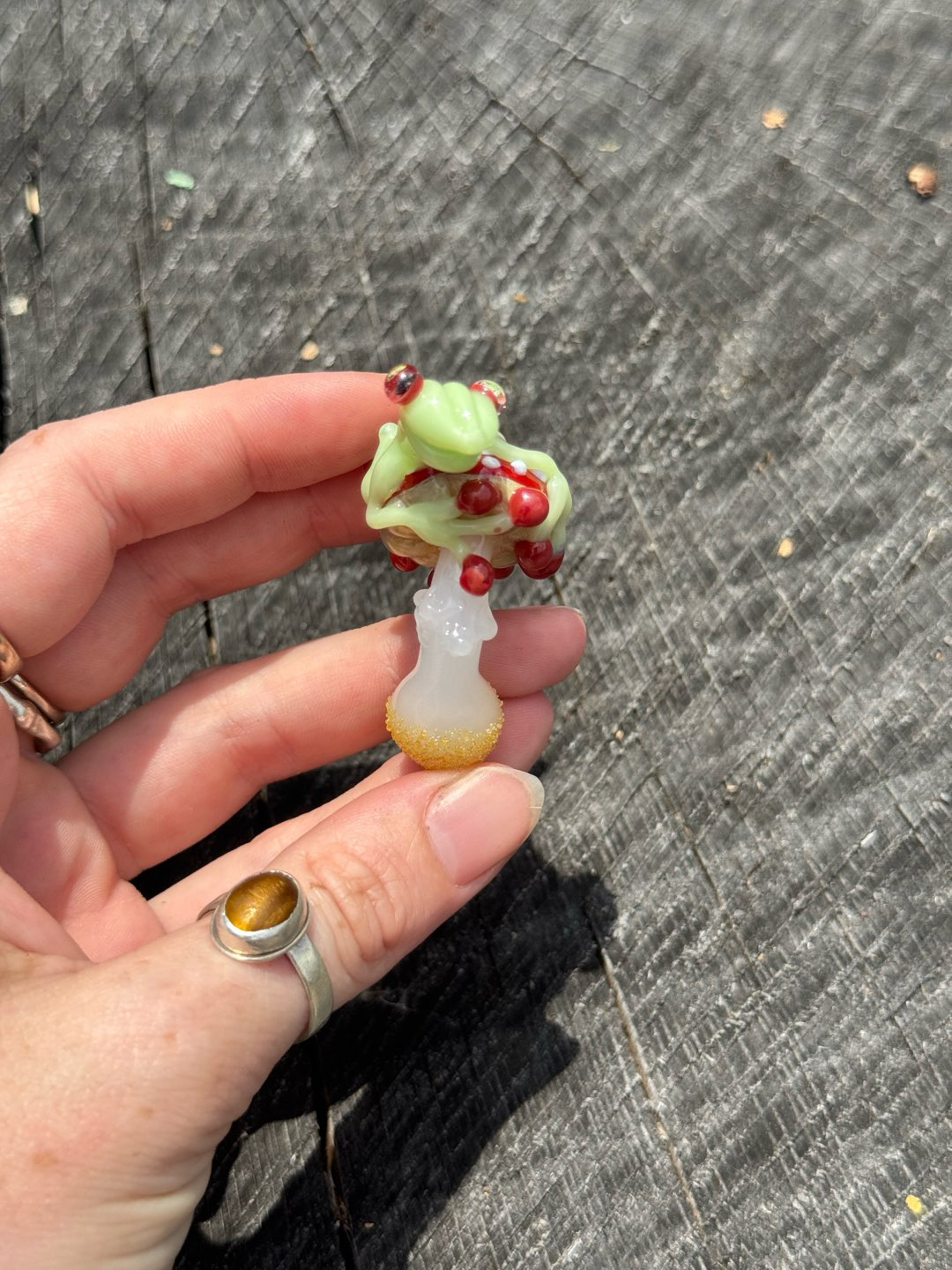 Preview pic of Frog on a mushroom