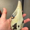 Small image 4