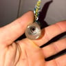 Small image 5