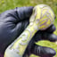 Small image 5