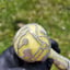 Small image 7