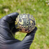 Small image 3