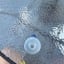 Small image 6