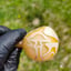 Small image 4